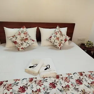 Elzangi Negombo